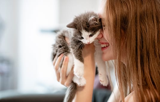 kitten with owner
