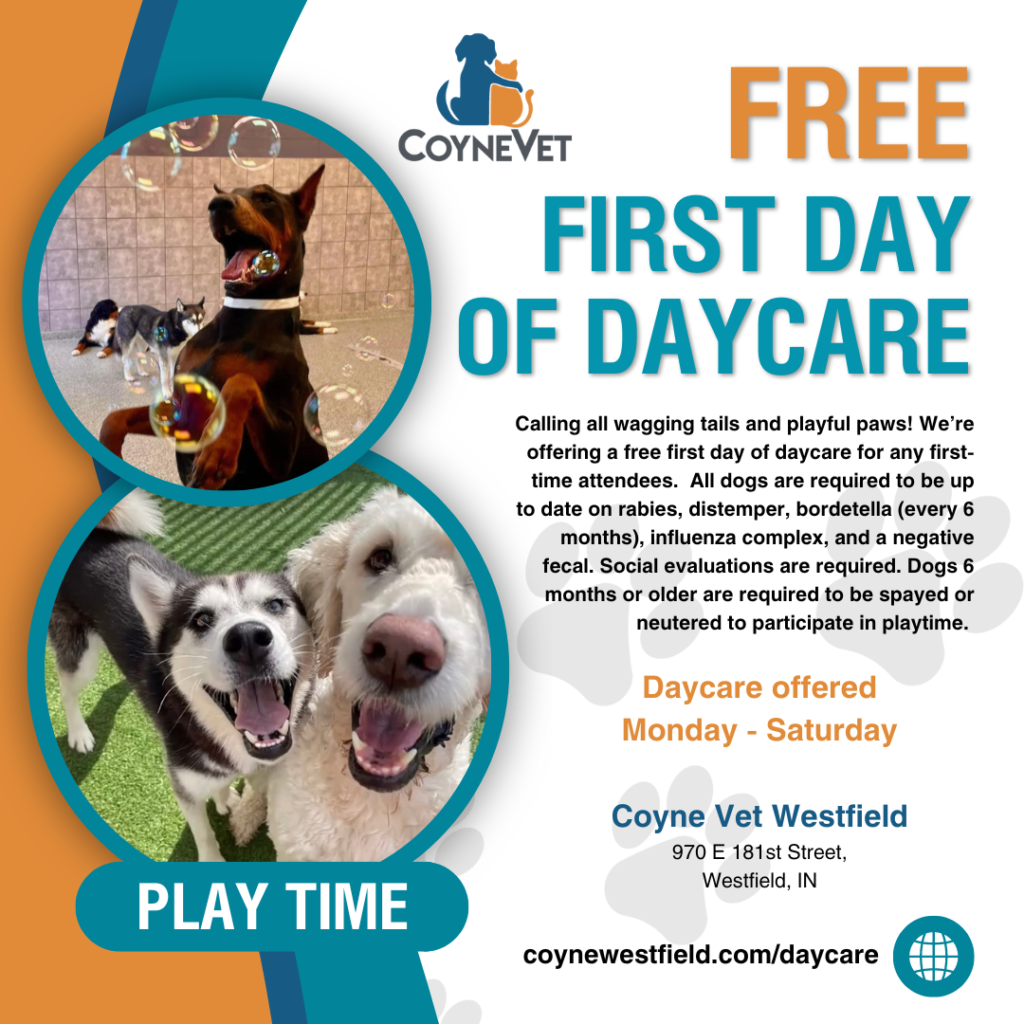 Free First Day of Daycare flier