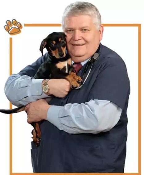 Home - Coyne Veterinary Center - Westfield Dr Coyne with Sparky cropped at Coyne Westfield Animal Hospital